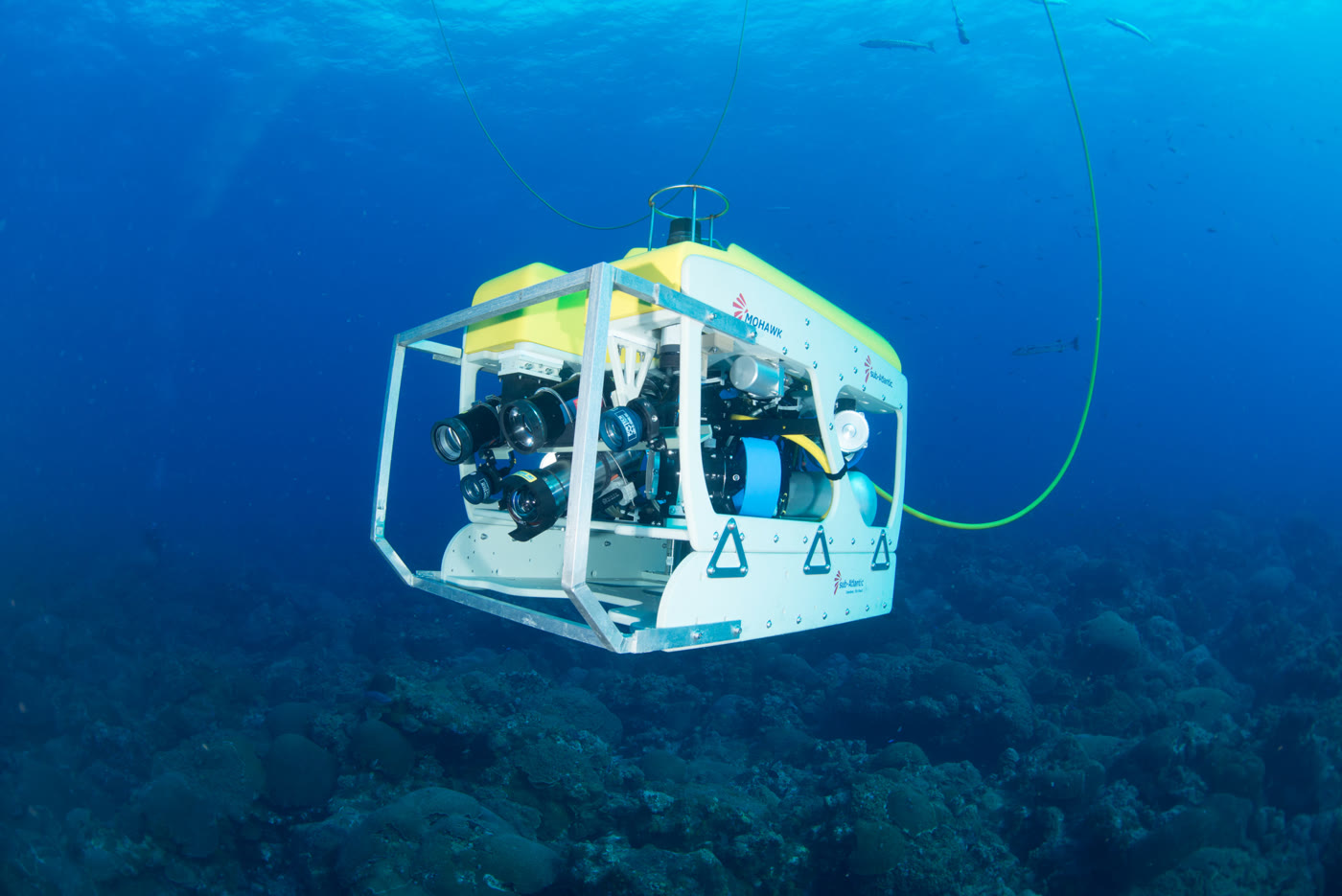 Work-class ROV performing a visual inspection near the seabed and reef structure